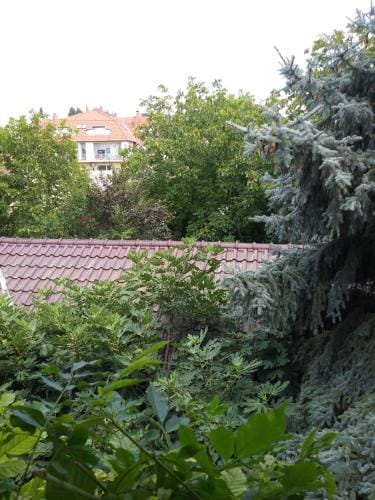Balogh vendeghaz Hotel in Szeged