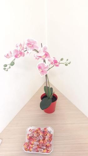 Sweet Home Agropoli Hotel in Agropoli