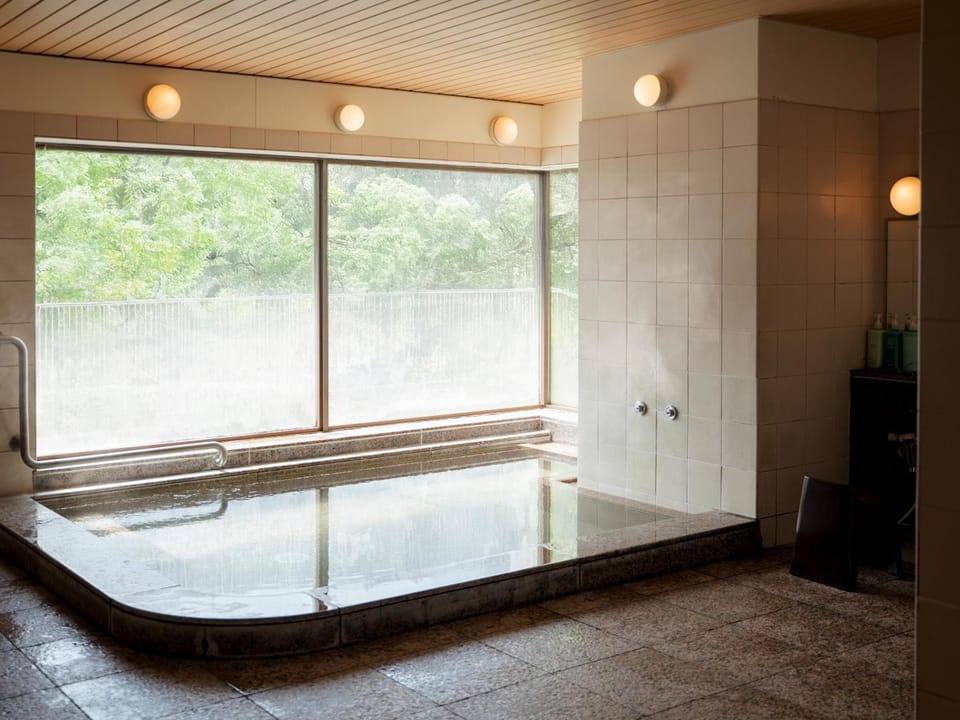 Takarazuka Washington Hotel Hotel in Hyogo Prefecture
