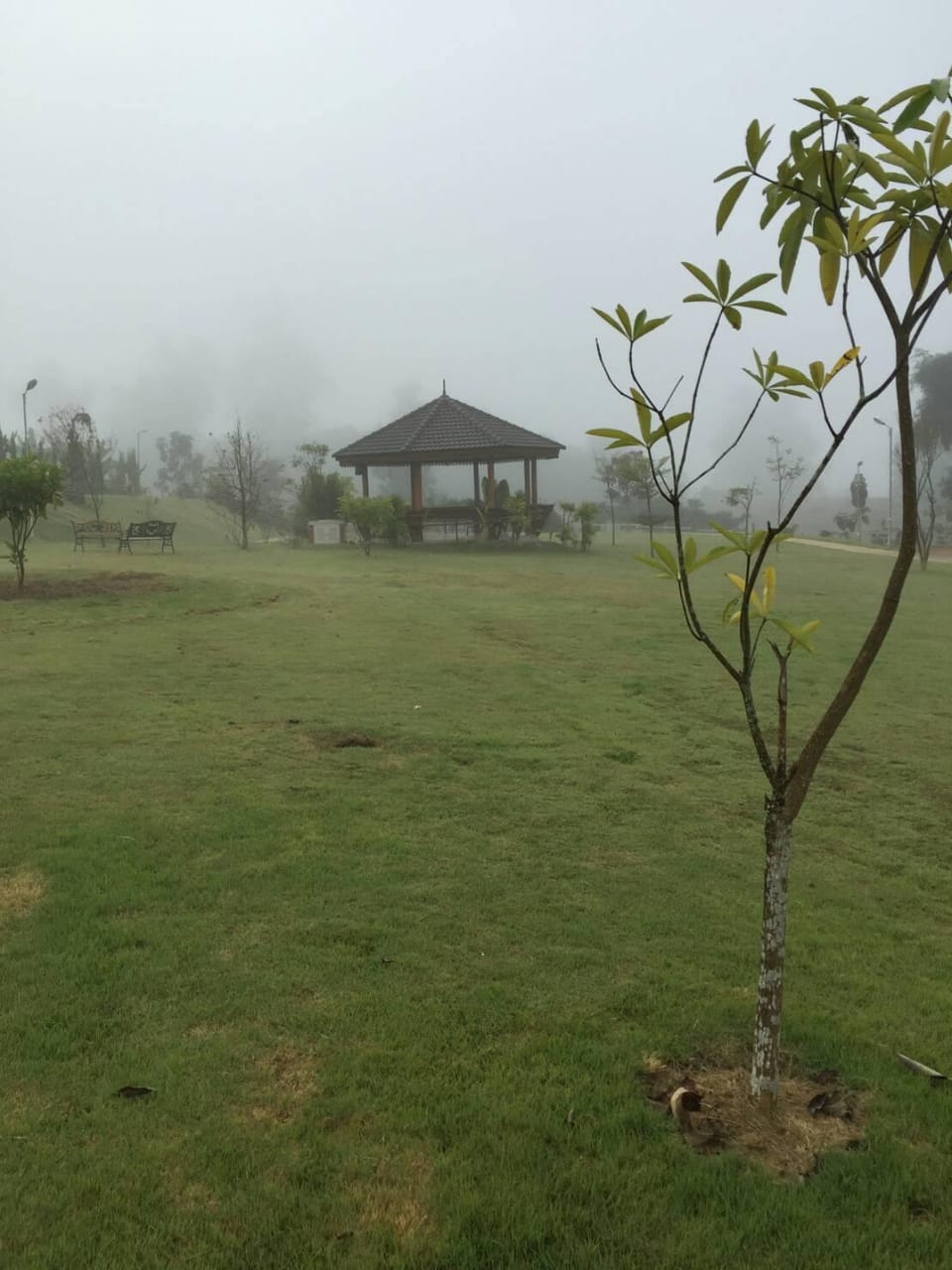 Surrounding environment