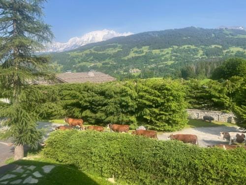 BARMADZA Mazots de Charme Hotel in Combloux