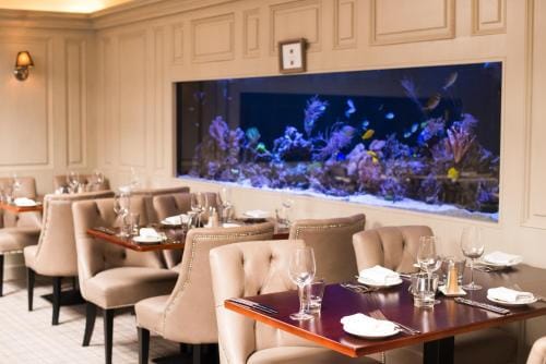 Vaughans Anchor Inn Hotel in County Clare