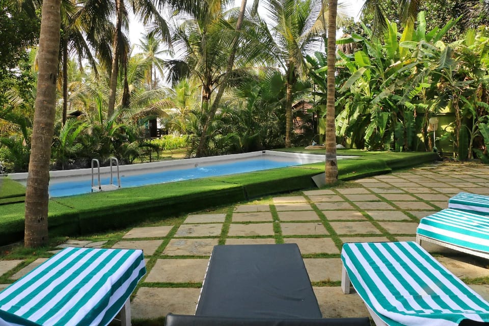 Swimming pool [outdoor]