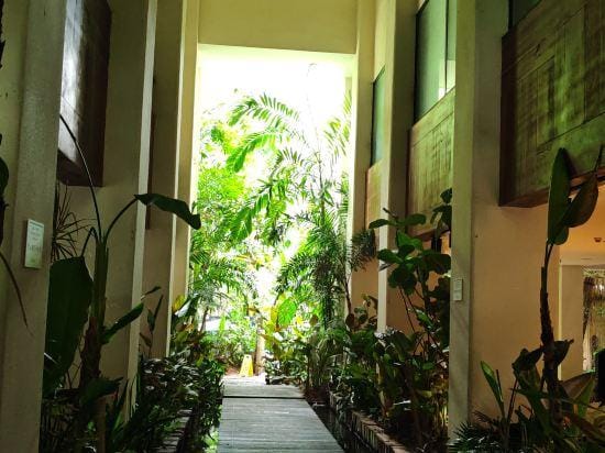Yilin Inn Hotel in Laos