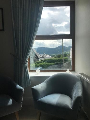Y Llew Coch Hotel in Wales