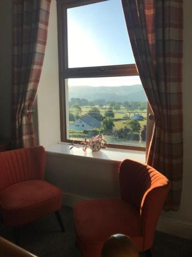 Y Llew Coch Hotel in Wales