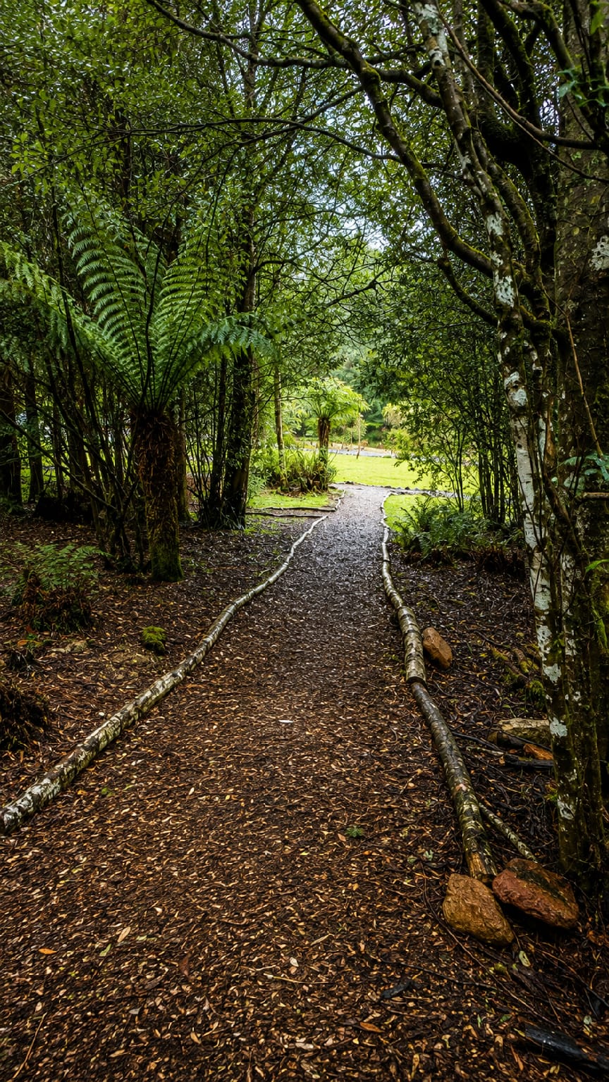 Cradle Forest Inn Hotel in Tasmania
