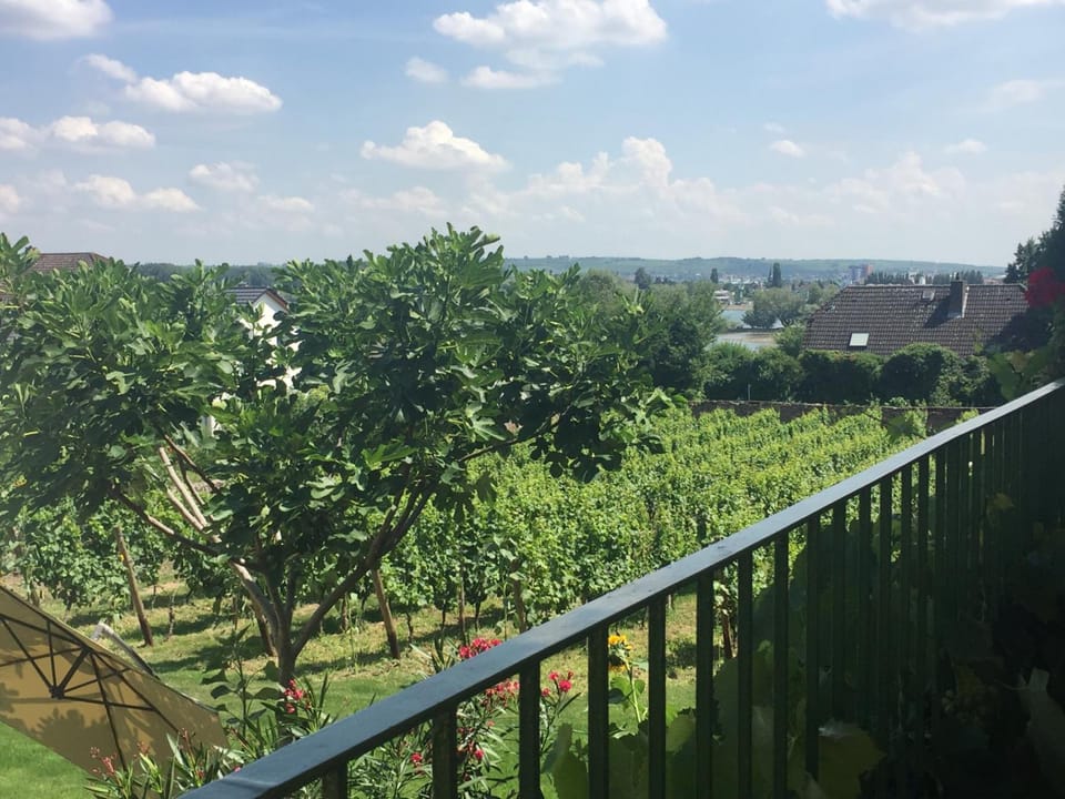Bed and Breakfast - Rheingauer Hof Hotel in Oestrich-Winkel