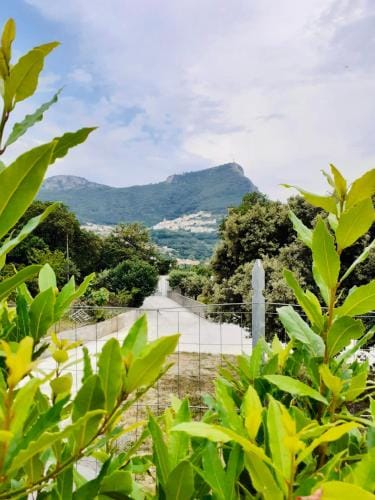 B&B da AnnaMaria Hotel in Maratea