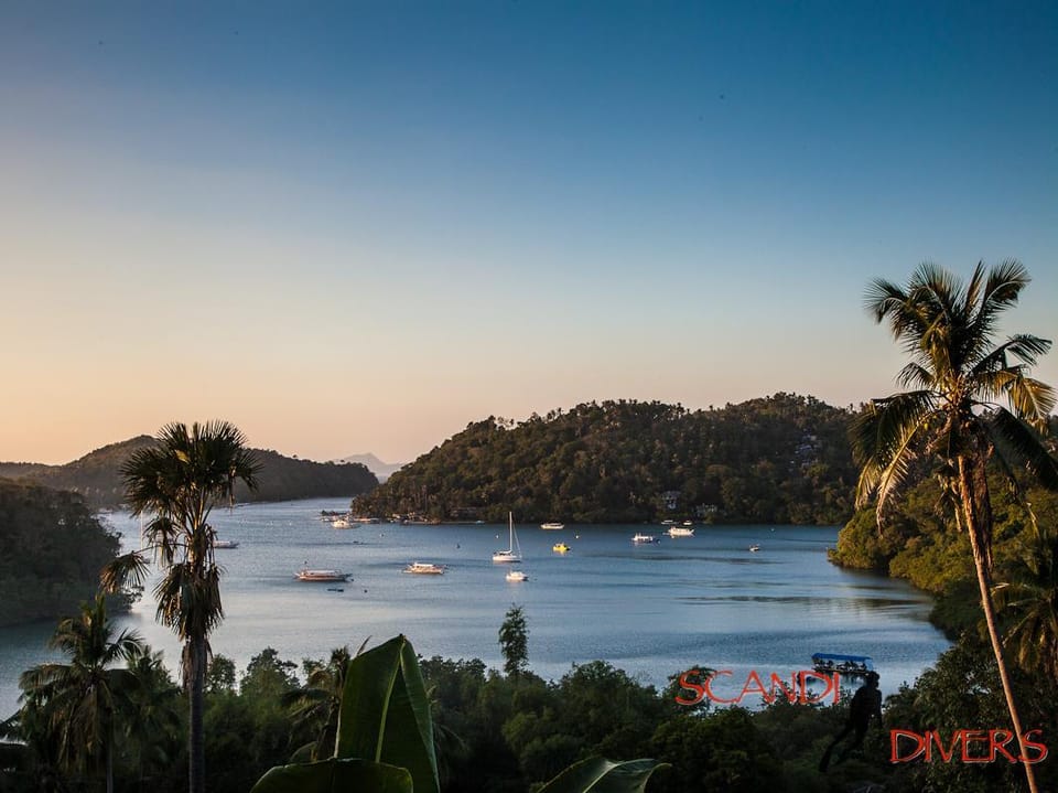 Swengland Beach Resort Resort in Puerto Galera