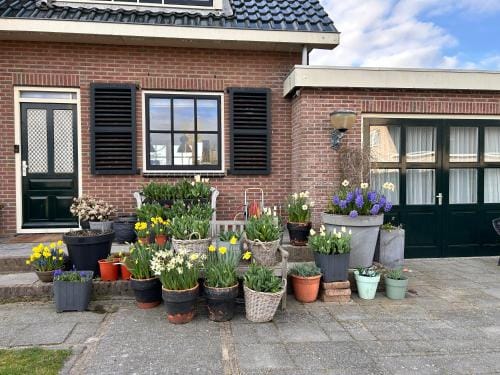 Flowerbed Hotel in Noordwijkerhout