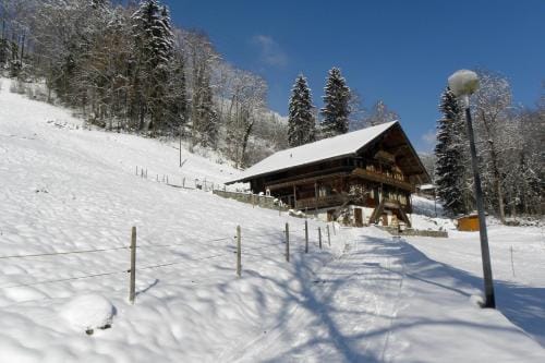 Spacious Swiss Alpine Chalet for Nature Lovers Hotel in Haute-Savoie