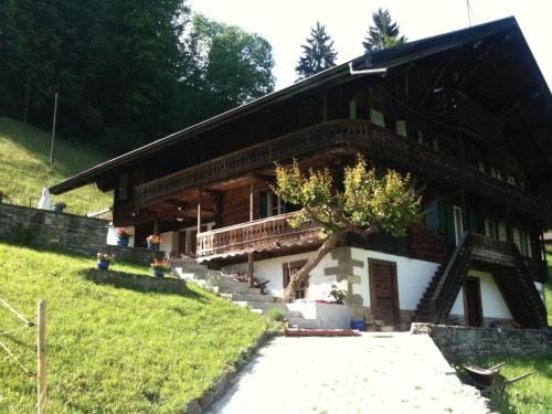 Spacious Swiss Alpine Chalet for Nature Lovers Hotel in Haute-Savoie