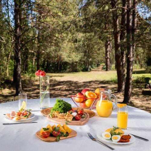 Ladybird Lodge Lodge in Vojvodina