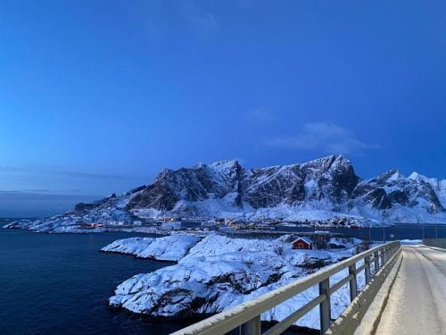 Olenilsøya Mini Villa Hotel in Lofoten