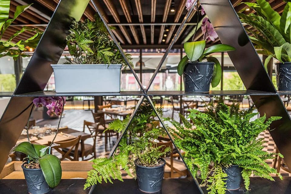 Domingo Santo Hotel Boutique Hotel in Mexico City