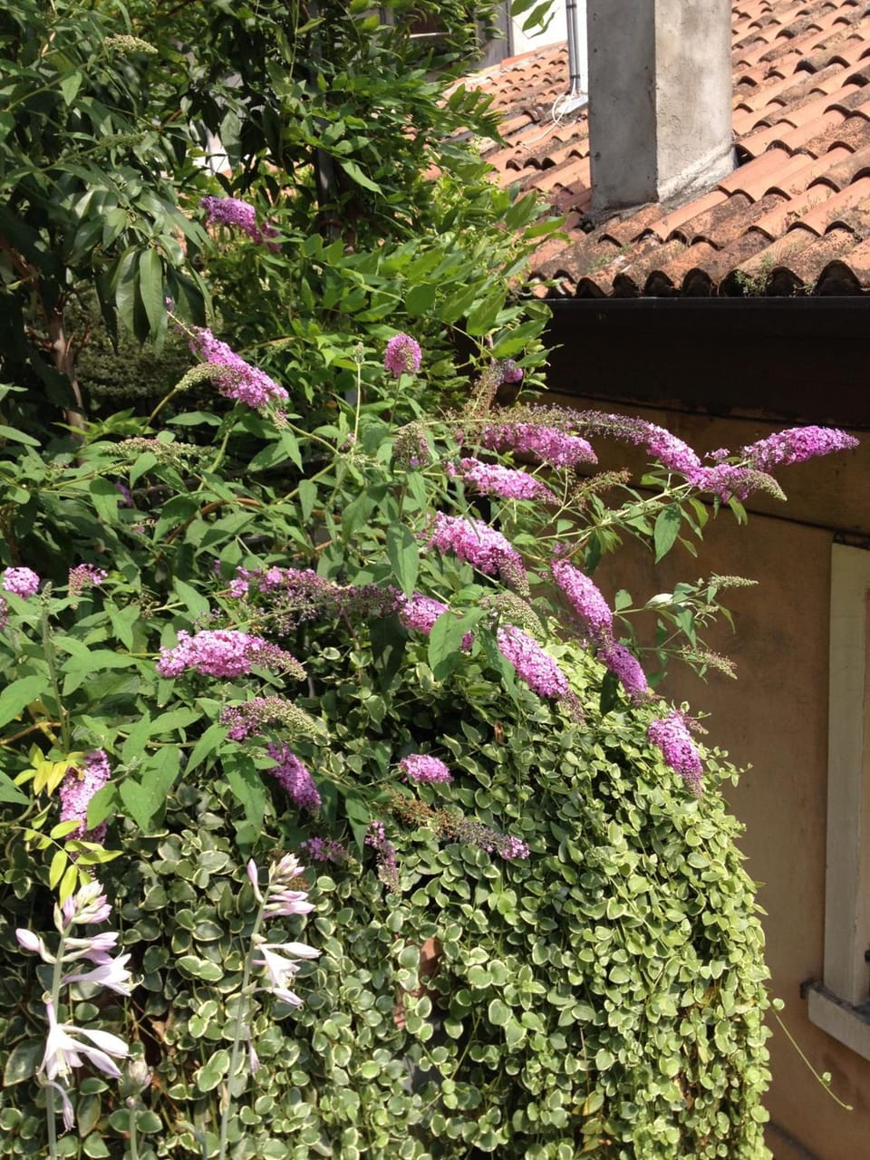 Residenza San Faustino Hotel in Verona