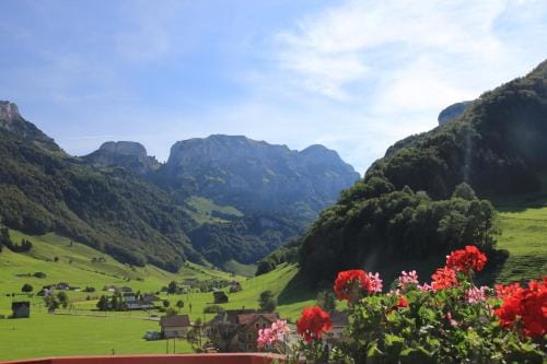 Hotel Alpenblick Hotel in Appenzell Innerrhoden, Switzerland