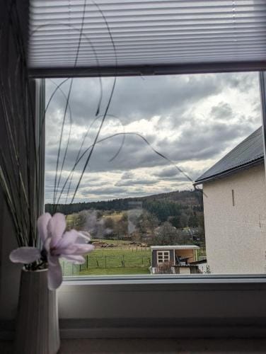 Pension Larifari Hotel in Ahrweiler