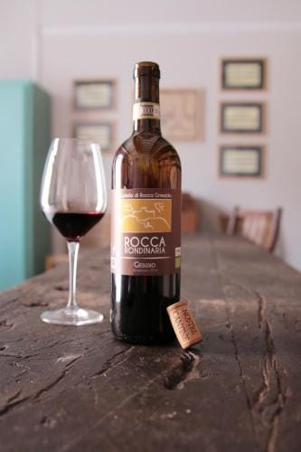 WineBikeHostel Hotel in Liguria