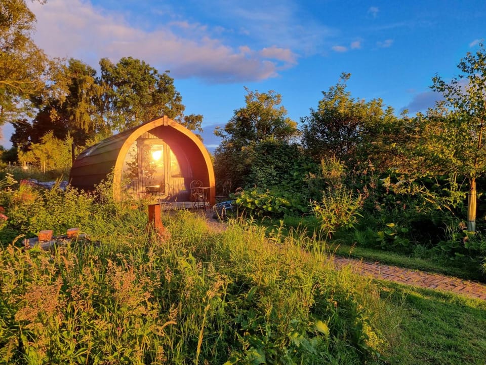 Eco Indigo Lodge in Scotland