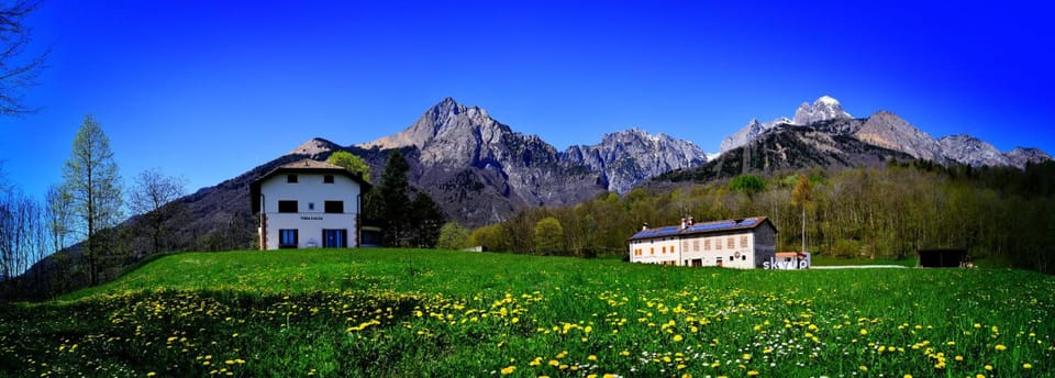 Surrounding environment