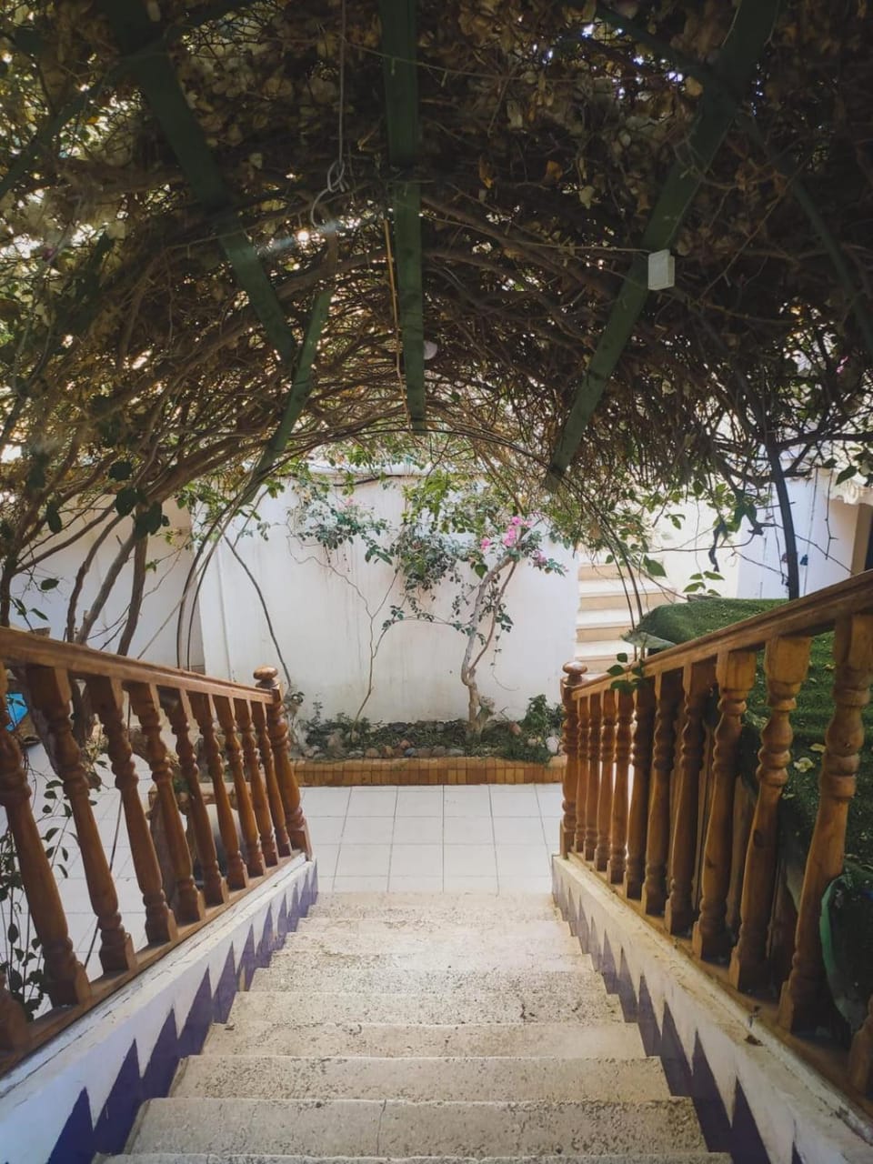 Neptune Hotel Hostel in South Sinai Governorate
