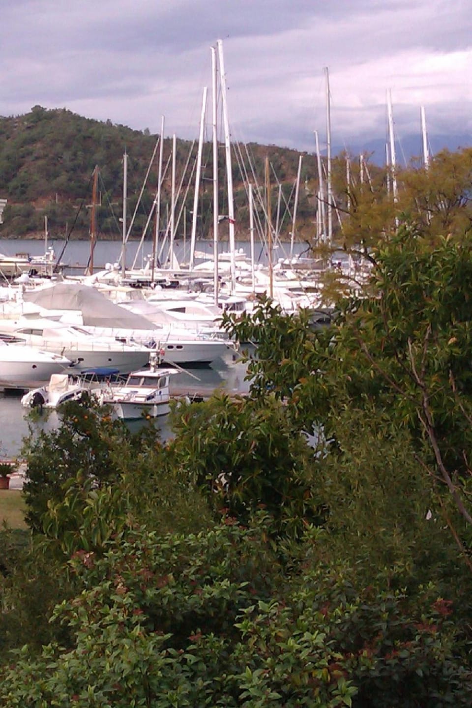 Pinara Pension & Guesthouse Hostel in Fethiye
