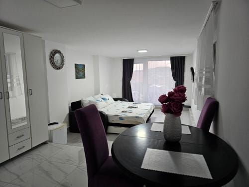 Studio Dana Hotel in Serbia
