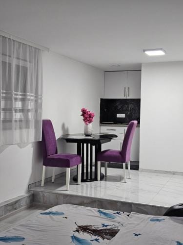 Studio Dana Hotel in Serbia