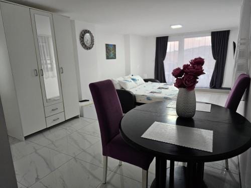 Studio Dana Hotel in Serbia