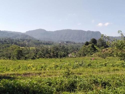 Pondok Indah Homestay Hotel in Sidemen