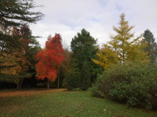 CHANTOISEAU Hotel in Centre-Val de Loire