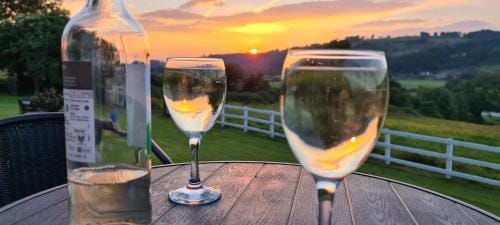 Cable Island Bed and Breakfast Hotel in County Waterford