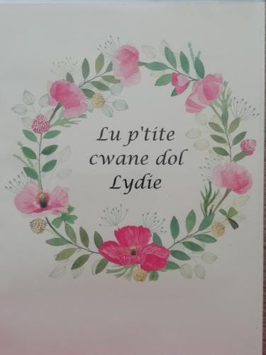 Lu ptite cwane dol Lydie Hotel in Wallonia, Belgium