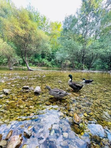 Skala luxury rooms Hotel in Podgorica Municipality, Montenegro