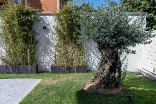 Grey House Guest House Luxury Hotel in Latina