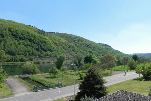 Pension Mosella, Gastezimmer Hotel in Ediger-Eller