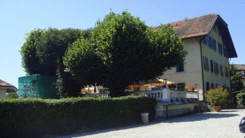 Hotel de Bahyse Inn in Montreux