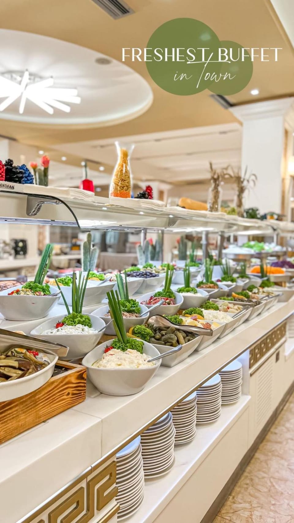 Fafa Premium Hotel & SPA Hotel in Tirana County, Albania