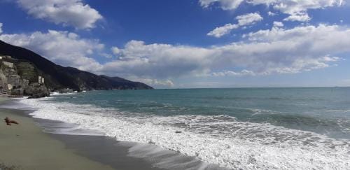 Affittacamere La Branda Hotel in La Spezia