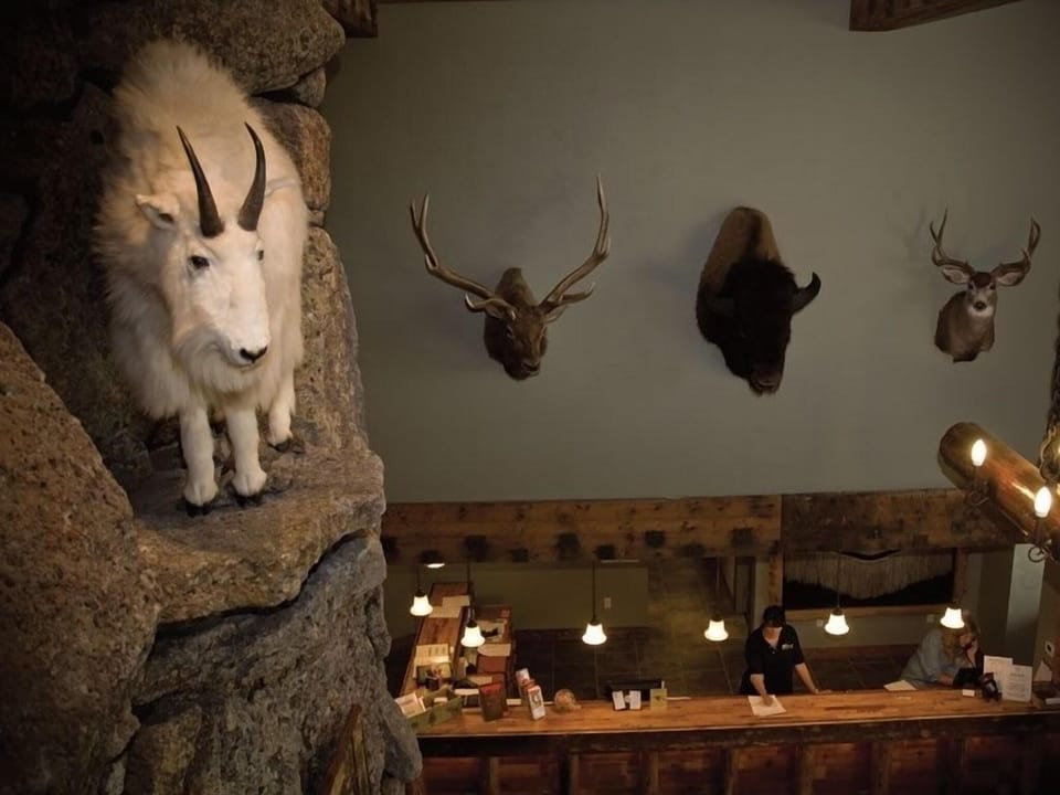 Three Bear Lodge Resort in West Yellowstone