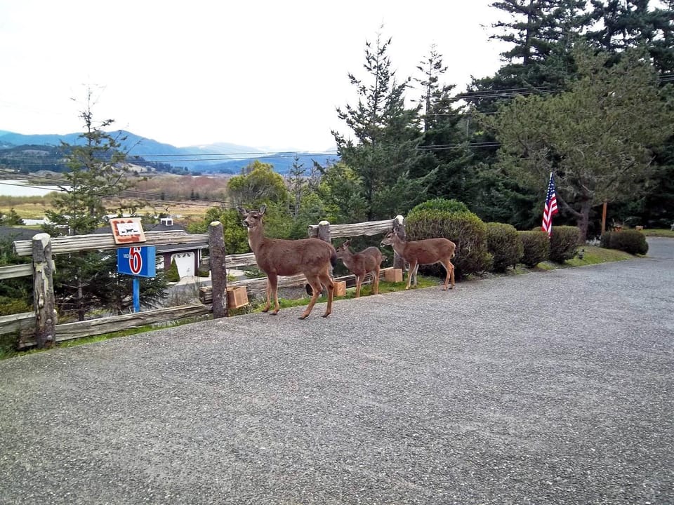 Motel 6 Gold Beach, OR Hotel in Gold Beach