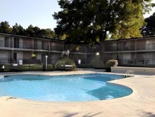 Swimming pool [outdoor]