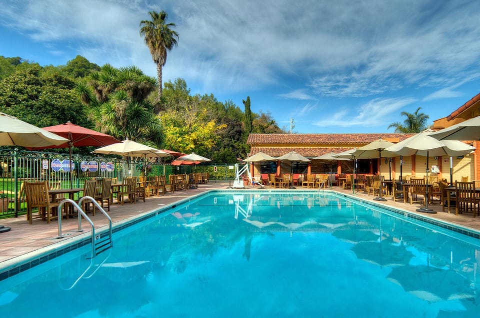 Swimming pool [outdoor]