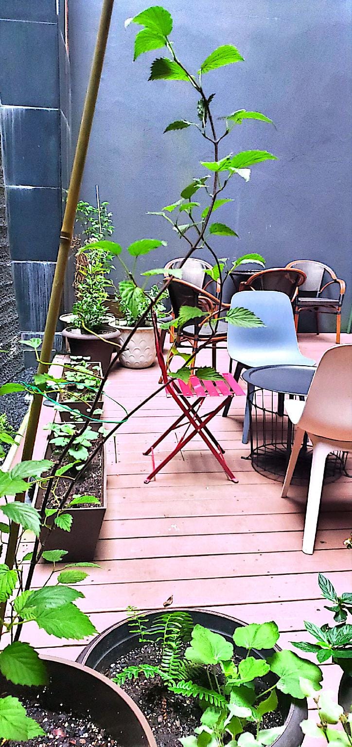 Balcony/terrace