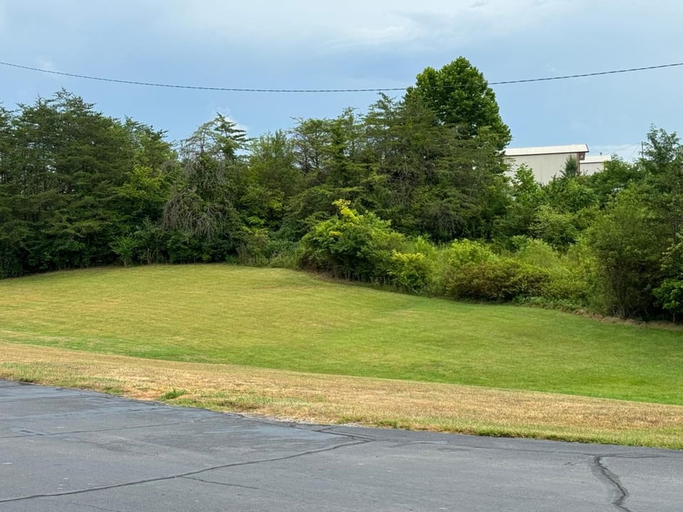 Surrounding environment