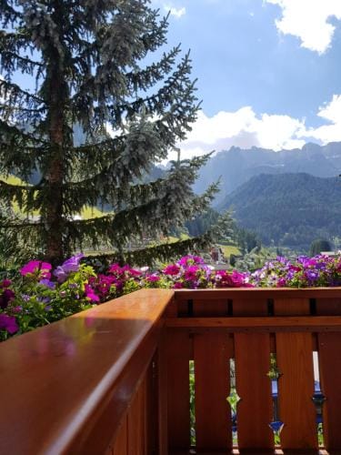 Garni Rubens B&B Hotel in Sëlva