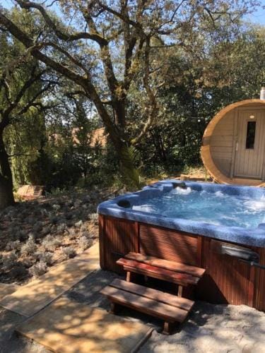 Suite Royale- SPA - Jacuzzi - Sauna - Massage - 2 Double Rooms - 4 SAISONS - Piscine Chauffee Toute  Hotel in Provence-Alpes-Côte d'Azur