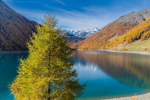 Berghotel Tyrol Hotel in Trentino-South Tyrol